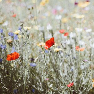 diagnosing and treating mental health conditions